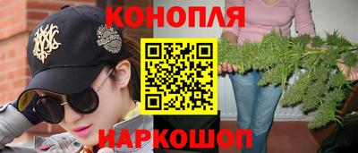 jwh Нальчик