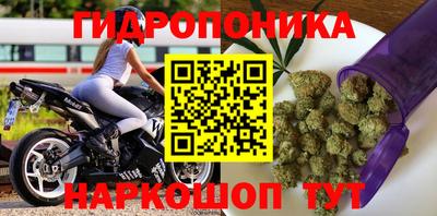 jwh Нальчик
