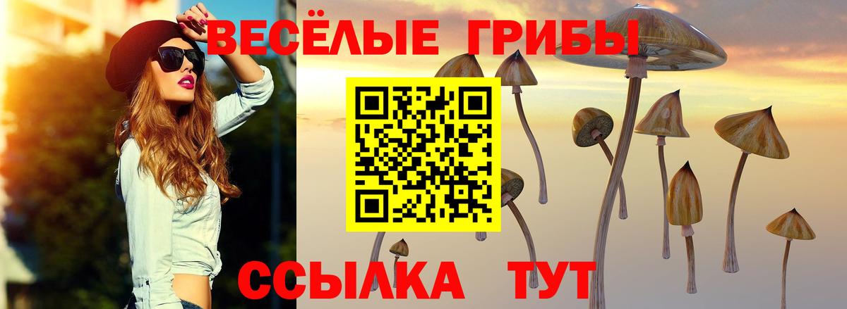 Галлюциногенные грибы Psilocybine cubensis  Вход с VPN  Кизилюрт 